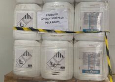 Sada e Adapi interditam mais de 25 toneladas de agrotóxicos vencidos em Bom Jesus
