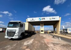 Exportações via ZPE Piauí cresceram 3.500%, com 720 toneladas de cera de carnaúba comercializadas em 2024