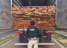 PRF apreende 33 m³ de madeira ilegal em Valença do Piauí