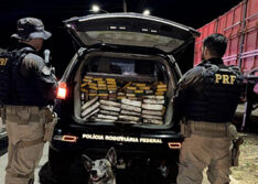 PRF apreende cerca de 210 kg de cocaína e 20 kg de skunk na BR-316 em Picos