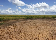 Boletim confirma avanço da seca no Piauí e Semarh lança ferramenta para acompanhar situação dos municípios