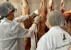Serviço de Inspeção Estadual assegura qualidade e segurança de alimentos consumidos no Piauí