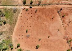 Gel natural criado no Piauí é usado para recuperar solo degradado em Gilbués