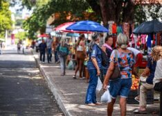 IBGE confirma queda de 8% no desemprego e na taxa de desalento no Piauí