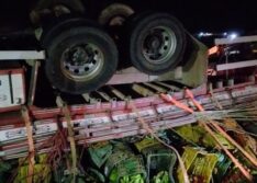 Caminhão carregado de frutas e verduras tomba na BR-407, em Geminiano
