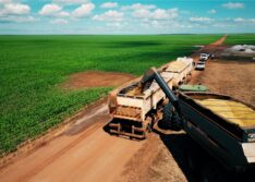 Exportações piauienses crescem 45% e chegam a R$ 828 milhões em setembro