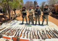 Polícia Ambiental participa de 383 operações em 9 meses e contribui para o equilíbrio ecológico no Piauí