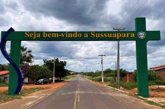 Idosa morre após ser atropelada por motociclista em Sussuapara
