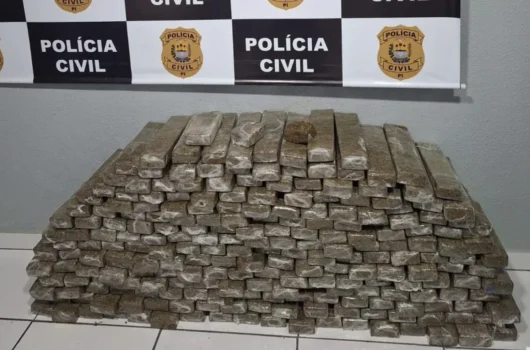 Dupla é presa com 250 kg de skank avaliados em R$ 2 milhões dentro de ônibus em Bom Jesus