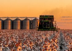 Piauí registra PIB de R$ 80,9 bilhões em 2023 e supera média de crescimento da região Nordeste