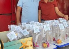 Prefeitura de Geminiano incentiva alunos e garante transporte para os locais das provas do Enem 2025