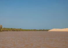 Turismo no Piauí: Delta do Parnaíba ultrapassa 42 mil visitantes em 2025