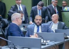 Alepi aprova política de prevenção a acidentes envolvendo animais nas rodovias