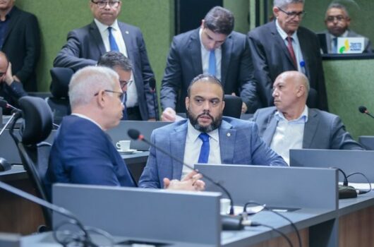 Alepi aprova política de prevenção a acidentes envolvendo animais nas rodovias