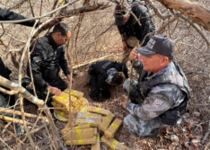Cerca de 300 kg de drogas são apreendidos em tambores enterrados no Piauí