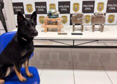 Cerca de 25 kg de drogas são apreendidos durante ação policial em Teresina