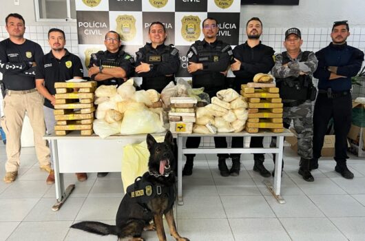 Draco realiza 77 operações e reforça ações de enfrentamento ao crime organizado em todo o Piauí