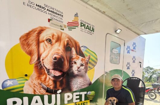 Castramóvel retoma atividades com atendimentos no sul do Piauí na segunda (12)