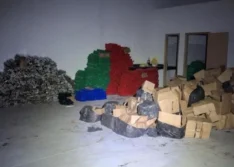 Operação integrada entre Piauí e Goiás cumpre 28 mandados e bloqueia R$ 3 milhões do tráfico