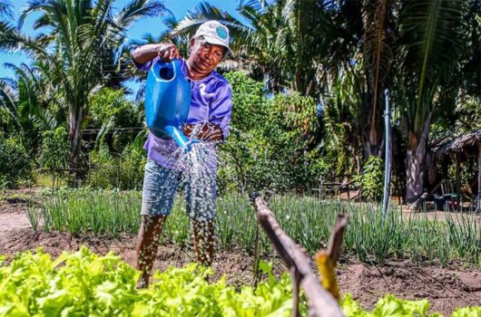 Garantia-Safra define calendário e prazos para agricultores do Piauí