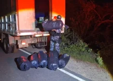 Motorista é preso transportando 121 kg de maconha em rodovia do Sul do Piauí