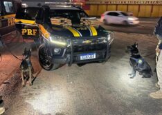 Adolescente é flagrada com 33 kg de maconha em ônibus interestadual na BR-343