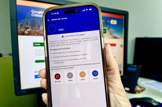 Governo adota sistema de selos para diferenciar serviços do Gov.pi