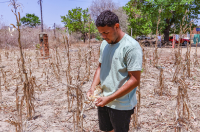 Prazo para agricultores de 115 municípios aderirem ao Garantia Safra encerra nesta sexta (27)
