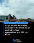 A Agência de Defesa Agropecuária do Piauí (Adapi) autuou e determinou o descarte de 3,5 toneladas de queijo transportadas de forma irregular e impróprias para consumo. A carga foi apreendida pela Polícia Rodoviária Federal (PRF) em Picos (PI), no fim da noite de terça-feira (3), durante uma abordagem de rotina.

Após identificar irregularidades na carga, a PRF acionou a Adapi para a adoção das medidas sanitárias cabíveis. Nas primeiras horas da manhã, servidores da Unidade de Sanidade Animal e Vegetal (Usav) de Picos compareceram ao local para fiscalização detalhada dos produtos.

A carga, com origem em Pernambuco e destino a Teresina, era composta principalmente por queijo coalho, além de unidades de queijo tipo manteiga e manteiga de garrafa. Os produtos estavam sem o Selo de Inspeção Federal (SIF) ou apresentavam selo sem número de controle, além de não estarem armazenados sob refrigeração.

Diante das irregularidades, o transportador foi autuado e foram emitidos autos de apreensão e descarte da carga. O material foi escoltado pela PRF até o aterro sanitário de Picos, onde foi devidamente inutilizado, conforme prevê a legislação sanitária.

A ação foi conduzida sob orientação da Gerente de Trânsito da Adapi, Daniela Rabêlo, e executada pela fiscal estadual agropecuária Estêfane Borges, médica veterinária, e pela técnica estadual de defesa agropecuária Elizângela Pereira.

A Adapi reforça a orientação para que os consumidores adquiram apenas produtos de origem animal que apresentem selo de inspeção municipal (SIM), estadual (SIE) ou federal (SIF), com número de controle válido, além de observar as condições adequadas de conservação, especialmente quanto à necessidade de refrigeração. Fonte: Governo do Piauí
