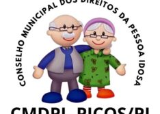 Conselho Municipal da Pessoa Idosa institui Comissão Eleitoral para escolha de representantes da sociedade civil em Picos