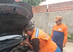 Jiboia de 1,5 m é resgatada de motor de carro em Campo Maior; animal foi solto