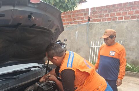 Jiboia de 1,5 m é resgatada de motor de carro em Campo Maior; animal foi solto