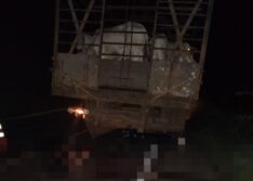 Irmãos morrem em colisão com caminhão de gado no Sul do Piauí
