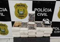 Polícia Civil apreende cerca de R$ 2 milhões em drogas durante operação em Oeiras