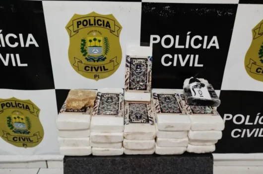 Polícia Civil apreende cerca de R$ 2 milhões em drogas durante operação em Oeiras