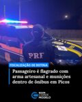 Um passageiro de 42 anos foi conduzido à delegacia nesta terça-feira (07), após ser flagrado com uma arma artesanal e munições durante fiscalização em um ônibus interestadual no município de Picos.

De acordo com a Polícia Rodoviária Federal, a abordagem ocorreu durante uma fiscalização de rotina. Durante a ação, os agentes perceberam que um dos passageiros apresentava comportamento suspeito, demonstrando nervosismo e se levantando diversas vezes da poltrona.

Segundo a PRF, ao realizar a verificação, foram encontrados pólvora, espoleta e chumbo na mochila do suspeito. “O passageiro da poltrona 9 se mostrou inquieto com a fiscalização e tentou levantar da poltrona diversas vezes. Quando a equipe procedeu à sua fiscalização, encontrou pólvora, espoleta e chumbo na sua mochila, o que o deixou ainda mais nervoso. A abordagem continuou e a arma de fogo foi encontrada embaixo da sua poltrona”, informou a corporação.

Ainda conforme relato do próprio passageiro, o armamento teria sido recebido como presente de um primo na cidade de Araioses, de onde ele havia saído, e teria como destino o município de Araripina.

Diante dos fatos, o homem e todo o material apreendido foram encaminhados à Central de Flagrantes para a adoção dos procedimentos legais cabíveis. Fonte: Paula Monize/Cidade Verde