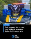 Uma ação da Polícia Rodoviária Federal (PRF) vinculada ao Piauí resultou na apreensão de cerca de 90 quilos de skunk e na prisão de dois homens na última segunda-feira (06), no município de Araioses, no Maranhão.

A droga foi localizada durante abordagem a um veículo suspeito em uma estrada vicinal próxima à BR-402, localizada na divisa entre o Piauí e o Maranhão.

A operação foi conduzida por uma equipe do Grupo de Patrulhamento Tático da 5ª Delegacia da PRF no Piauí, que identificou o automóvel a partir de análise de risco. O método é utilizado para selecionar alvos com base em informações prévias e padrões considerados atípicos.

Segundo a corporação, o veículo foi localizado na zona rural de Araioses. Durante a abordagem, os ocupantes apresentaram nervosismo e deram versões contraditórias sobre o motivo da viagem, o que levou os policiais a aprofundarem a fiscalização.

Na carroceria do automóvel, foram encontradas caixas de papelão lacradas com fita adesiva. Ao abrirem o material, os agentes localizaram diversos tabletes de substância com características semelhantes ao skunk, uma variação mais potente da maconha. Ao todo, foram apreendidos 70 tabletes, que somaram aproximadamente 90 quilos do entorpecente.

Os dois ocupantes do veículo foram presos em flagrante por tráfico de drogas. A identidade deles não foi divulgada. Após a ocorrência, os suspeitos e o material apreendido foram encaminhados à Delegacia Regional da Polícia Civil em Barreirinhas, também no Maranhão, onde foram realizados os procedimentos legais.

Embora a apreensão tenha ocorrido em território maranhense, a ação teve participação direta de equipe baseada no Piauí. A apreensão representa mais um registro de circulação de drogas em larga escala na região, com impacto direto na segurança pública.

As investigações devem prosseguir para identificar a origem e o destino do entorpecente, além de possíveis conexões com outros envolvidos no esquema. Fonte: Portal O Dia