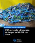 A Polícia Rodoviária Federal apreendeu 1.444 quilos de drogas durante fiscalização na BR-316, no município de Picos, no Sul do Piauí. A carga estava escondida dentro de bobinas metálicas transportadas por um caminhão de carga.

A abordagem ocorreu por volta das 17h30 do dia 20 de abril, mas a retirada completa dos entorpecentes só foi concluída às 4h50 desta terça-feira, 21 de abril de 2026, devido à complexidade do método de ocultação.

Foram apreendidos 1.377 quilos de skunk e 67 quilos de cloridrato de cocaína. Segundo a PRF, a droga estava acondicionada no interior das estruturas metálicas, o que dificultou a identificação imediata e exigiu uma inspeção técnica para acesso ao material.

O veículo havia saído de Manaus, no Amazonas, com destino ao município de Barbalha, no Ceará. Durante a abordagem, o motorista afirmou que realizava apenas o transporte da carga e que não tinha conhecimento da presença dos entorpecentes. Ele foi preso em flagrante.

O condutor, o caminhão e a droga foram encaminhados à sede da Polícia Federal em Picos.

De acordo com a PRF, a forma de ocultação indica planejamento logístico para dificultar a fiscalização. A apreensão é a maior registrada no Piauí em 2026 e representa impacto financeiro significativo para organizações criminosas envolvidas no tráfico interestadual de drogas. Fonte: Cidade Verde
