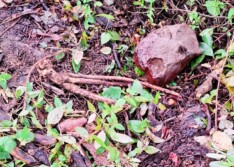 Homem é preso após tentar matar ex a pedradas em São João da Varjota