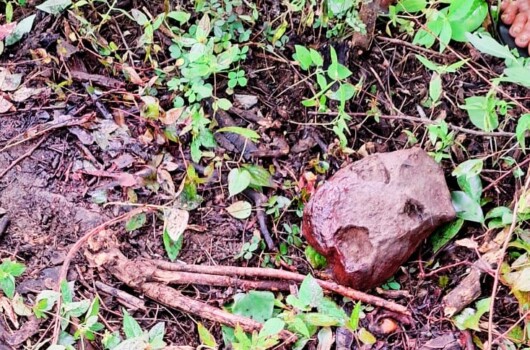 Homem é preso após tentar matar ex a pedradas em São João da Varjota