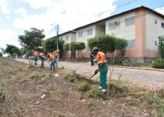 Prefeitura de Picos intensifica serviços e realiza mutirão de limpeza no Conjunto Antonieta Araújo
