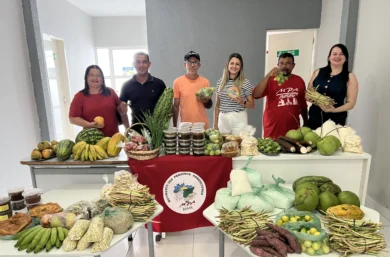 Assistência Social de Geminiano realiza 2ª entrega de alimentos da agricultura familiar