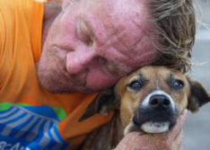 Violência contra animais: leis produzidas na Alepi buscam fortalecer combate a crime