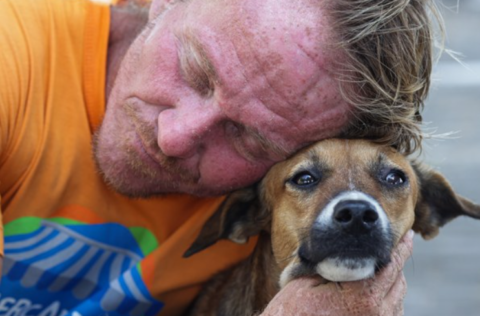 Violência contra animais: leis produzidas na Alepi buscam fortalecer combate a crime