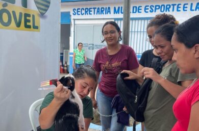 Castramóvel leva atendimentos a Demerval Lobão, Santo Antônio de Lisboa, Pedro II e Buriti dos Montes neste mês