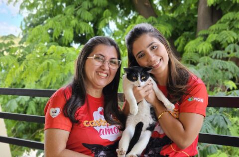Mais de mil castrações de animais em situação de rua serão realizadas em Picos