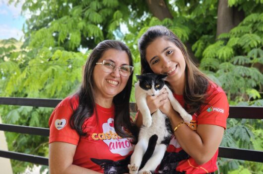 Mais de mil castrações de animais em situação de rua serão realizadas em Picos