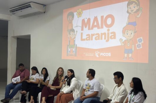 Gestores escolares participam de formação sobre enfrentamento à exploração sexual infantil em Picos