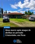 Um homem identificado como Narciso Gimenez Castilho, de 63 anos, morreu na manhã desta terça-feira, 06 de maio, após ser atacado por abelhas na zona rural do município de Picos. O caso aconteceu no povoado Cristovinho.

De acordo com informações preliminares, Narciso caminhava por uma estrada da localidade quando teria sido surpreendido por um enxame de abelhas. Na tentativa de escapar do ataque, ele entrou em uma chácara em busca de abrigo. No entanto, o idoso não resistiu aos efeitos das ferroadas e faleceu. O corpo estava na área externa da residência e apresentava diversas marcas compatíveis com ferroadas de abelhas.

A Polícia Civil foi acionada e esteve no local. O Departamento de Polícia Científica realizou a perícia de local e removeu o corpo para o Instituto Médico Legal (IML) para esclarecer oficialmente as circunstâncias da morte. Fonte: Cidades na Net