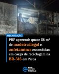 A Polícia Rodoviária Federal apreendeu, na noite deste domingo (24), uma carga ilegal de quase 58 m³ de madeira nativa transportada de forma clandestina na BR-316, em Picos, no Sul do Piauí. A ação também resultou na apreensão de anfetaminas encontradas na cabine do caminhão.

O flagrante ocorreu por volta das 23h30, no km 294 da rodovia, durante fiscalização de rotina realizada pela equipe da Unidade Operacional da PRF em Picos. Os policiais abordaram uma combinação de veículos de carga composta por um caminhão Volvo FH 540 acoplado a um semirreboque.

Durante a fiscalização documental, os ocupantes apresentaram apenas notas referentes ao transporte de fardos de sacos plásticos destinados à reciclagem. No entanto, ao aprofundar a inspeção no compartimento de carga, os agentes perceberam uma estrutura montada com os próprios fardos, formando uma espécie de “parede” para ocultar o restante do carregamento.

Além disso, a porta lateral do baú estava bloqueada propositalmente, dificultando o acesso da equipe ao interior do veículo. Após a remoção da barreira artificial, os policiais encontraram uma grande quantidade de madeira nativa serrada escondida sob a carga de sucata plástica.

Após a cubagem da carga, a PRF constatou o transporte irregular de 57,9 metros cúbicos de madeira sem qualquer Documento de Origem Florestal (DOF), Guia Florestal ou licença ambiental válida.

Durante as buscas no interior da cabine, também foram encontradas nove unidades de anfetaminas, substância frequentemente utilizada para inibir o sono em viagens de longa distância.

Dois homens, de 36 e 76 anos, foram autuados pelos crimes de transporte ilegal de produto florestal e porte de droga para consumo pessoal. A carga de madeira, o caminhão e o semirreboque foram apreendidos e encaminhados ao IBAMA.

O caso foi registrado e encaminhado ao Juizado Especial Criminal de Picos para os procedimentos legais cabíveis.